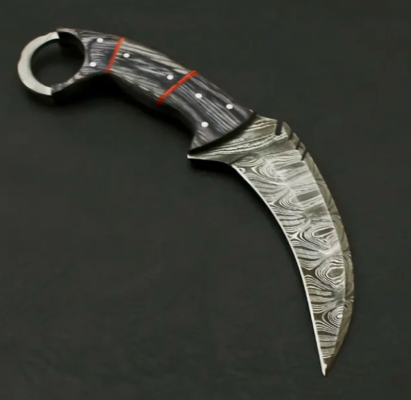 AE#1 Custom Hand Forged Damascus Steel Camping Hunting Full Tang Karambit Knife. - Image 3