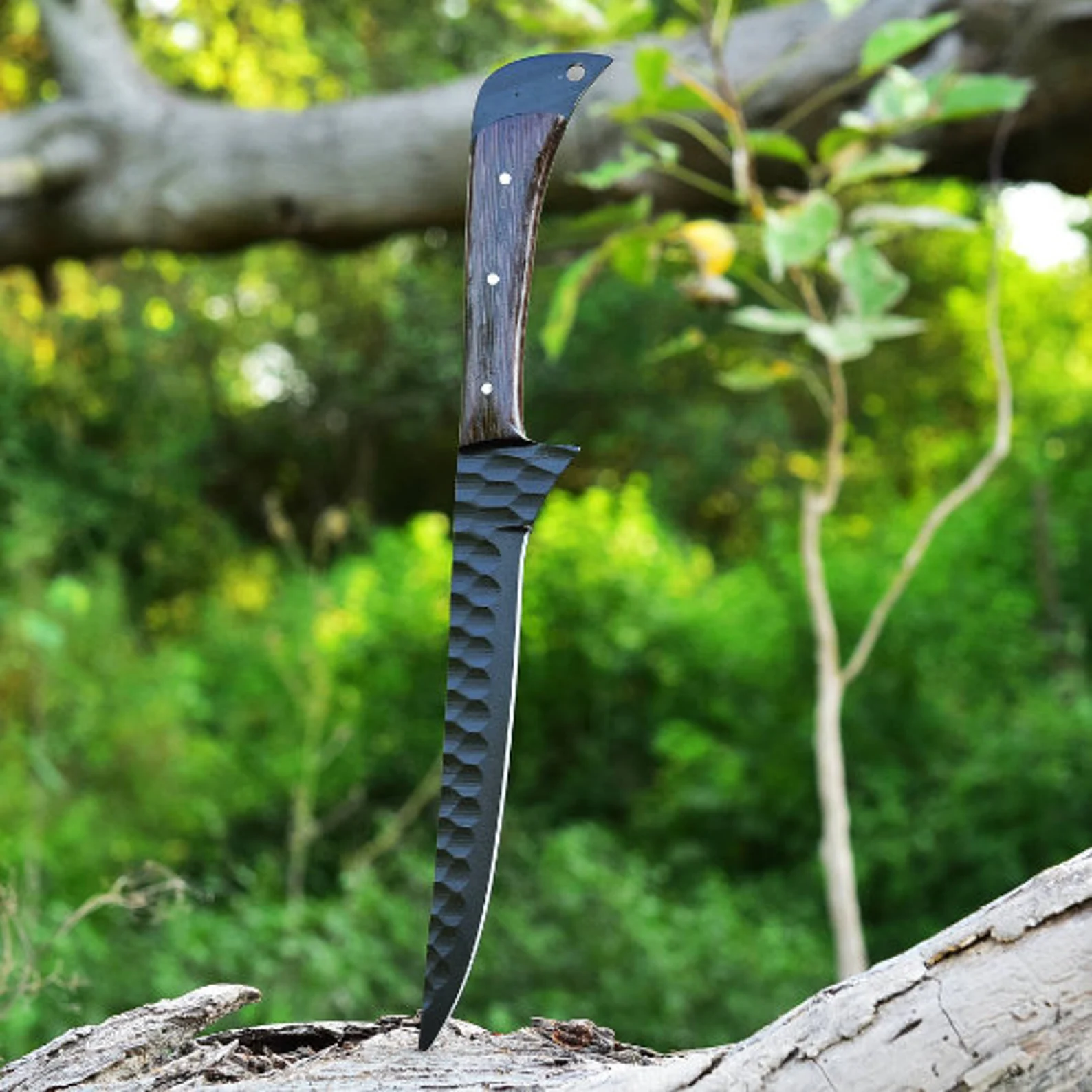 Handmade J2 Steel Fillet Knife – 8” Powder-Coated Blade | 5” Vangi Wood Handle | Custom Fishing & Utility Knife - Image 2